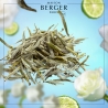 Biała herbata wkład do lampy zapachowej 500 ml - Maison Berger 115361