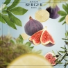 Ogrody Riwiery - wkład do lampy zapachowej 500 ml - Maison Berger
