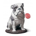 Figurka pies Buldog z lizakiem 33 cm