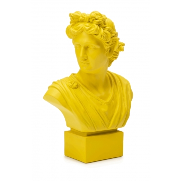 Popiersie młodzieńca Neoclassico 35 cm żółte - Palais Royal