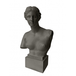 Popiersie Aphrodi Neoclassico 35 cm szare Bellimbusti