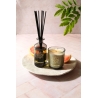 Świeca Classic Grapefruit Shores 210 g - Max Benjamin