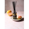 Dyfuzor zapachowy Classic Grapefruit Shores - Max Benjamin RB-D09