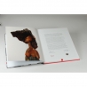 Album EMOTIONS BY LUBOMIR TOMASZEWSKI - katalog