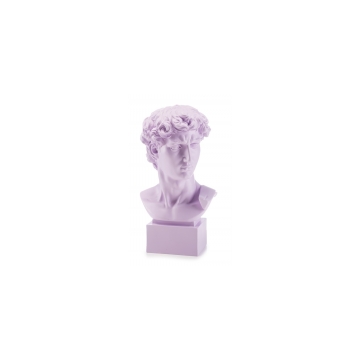 Popiersie David Neoclassico 50 cm Bellimbusti