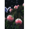 Bombki zestaw 2 sztuk w paski 6 cm - Delight