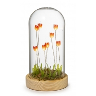 Kula szklana z kwiatami led 17 cm – Palais Royal