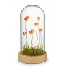 Kula szklana z kwiatami led 17 cm – Palais Royal