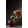 Wazon Capalbio 52 burgundowy mat 24,5 cm - IVV 8715.3