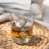 Kamienie do whisky ze stali nierdzewnej 4 szt. Vacu Vin