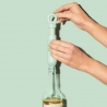 Pompka próżniowa do wina Wine Saver Loop Jade + korek - Vacu Vin