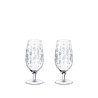 Kieliszki do piwa 300 ml 2 szt. - Toy's Delight