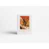 Puzzle 1000 elementów Autumn Leaves - Printworks